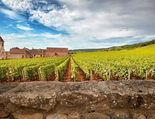 Escapade en Bourgogne : Hôtels et Brasseries pour une Expérience Authentique